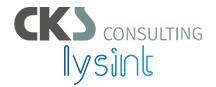 CKS Consulting